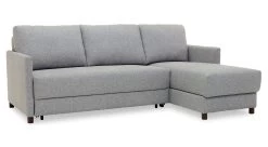 Pint XL Sectional Sleeper