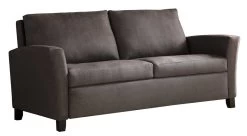 Carey Comfort Sleeper