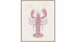 Aruba 4 - Pink Lobster - Special Order