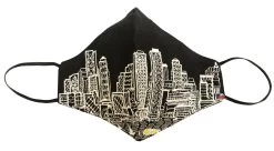 Boston Mask Nighttime Skyline