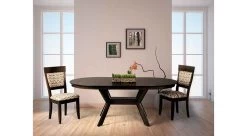 Liz Dining Chair By Saloom -Home-Furniture KBS double main 1