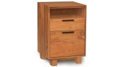 Linear Narrow File Cabinet With Cubby