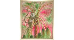 Patas Monkey On Pink 1