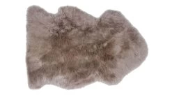 Sheepskin Single Pelt -Home-Furniture Single Pelt Rose Quartz Front Main 2